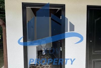 Pensiune/ Vila Valea Avrigului Pensiune/ Vila Valea Avrigului - 29