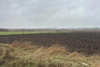 Teren în Lumina - 8