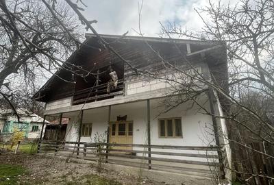 Casă cu 4 camere cu Teren 5000 Mp în Băjenari - 3