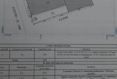 SPATIU COMERCIAL  |  ZONA LIDL DELFINARIU  | 60mp utili - 5