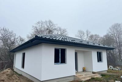 Casa individuala pe un singur nivel - 1