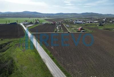 Teren de 1800 mp, în Nicolae Bălcescu - 6