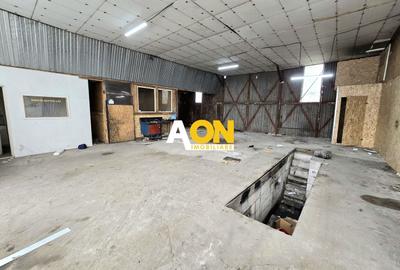 Spațiu industrial, de 144 mp, în Ampoi 1 - 1