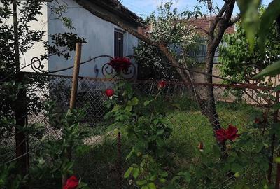 Casă cu 5 camere cu Teren 2200 Mp în Coșdeni - 1