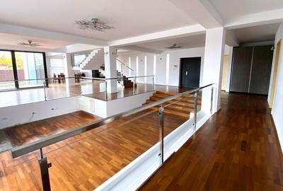 Casă individuală cu 7 camere cu Teren 3000 Mp în Micălaca - 6