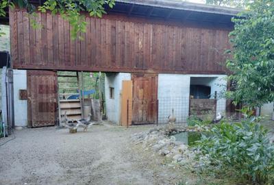 COMISION 0!Casa cu 2 apartamente, 210 mp, 1350 mp teren, in - 3