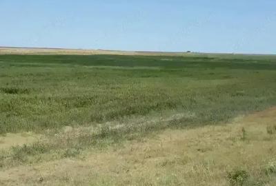 Teren de 40000 mp, în Plopu - 1