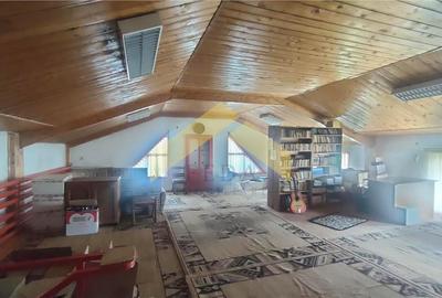 Hale de vanzare in localitatea Sebis, Arad - 5