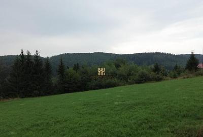 Teren 5023 mp In Bucovina Zona Manastirea Voronet De 07278 - 17