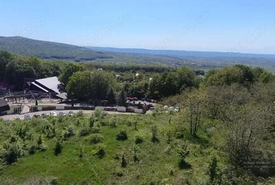 Teren de 850 mp, în Central - 7