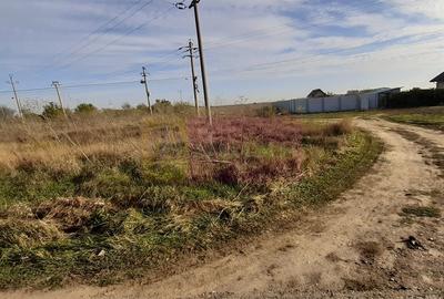 Teren la Asfalt cu utilitati alaturi (Curent & Gaz) langa Bucuresti - 4