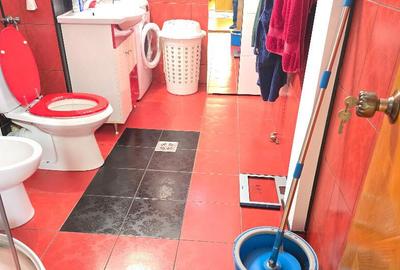 Apartament cu 3 camere decomandat în Sud - 15