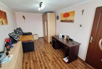 Casa cocheta P+M, cu curte individuala, zona Maramuresului - 2