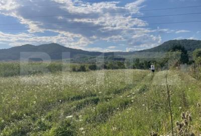 Teren de 1000 mp, în Viișoara