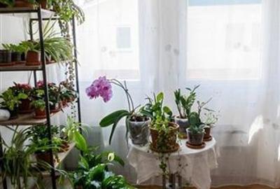 Apartament cu 2 camere decomandat în Episcopia Bihorului - 3