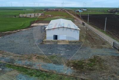 Hala frigorifica 500 mp de vanzare in Mihai Viteazu Constanta Tulcea - 6