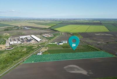 Livada de nuci ?i pruni 2.4ha in Varia?ul Mare - 2