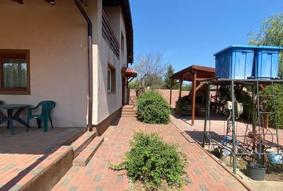 De vanzare casa individuala cu teren Gruiu , Calarasi ,Budesti - 3