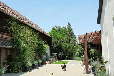 Casă cu 4 camere cu Teren 1101 Mp în Becicherecu Mic - 9