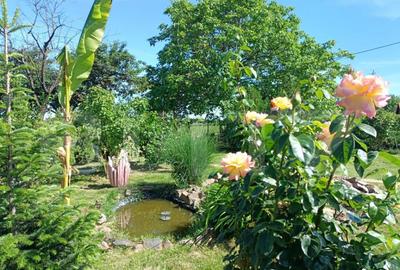 Teren de 1000 mp, în Careiului