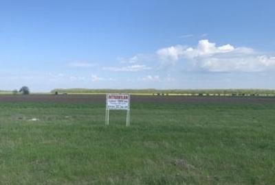 Teren 1000 mp intravilan , Dascalu, deschidere 35 m la DJ 200, 0744353659 - 4