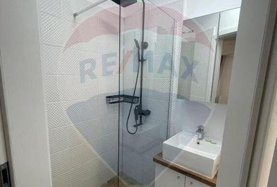 Apartament cu 2 camere de inchiriat in zona Plevnei - 5