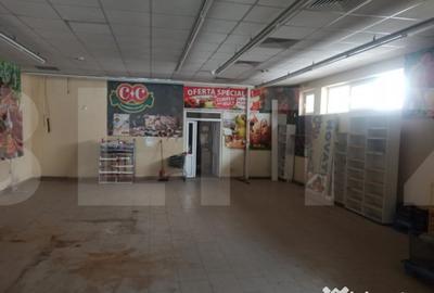 Spațiu comercial, de 400 mp, în Mehala - 3