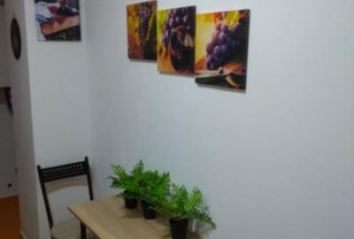 Garsonieră decomandată în Beba Veche - 2