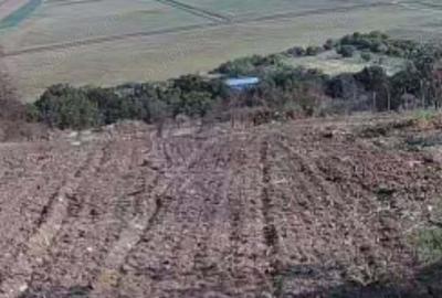 Casă cu 3 camere în Băneasa - 2