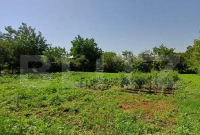 Casă cu 4 camere cu Teren 1860 Mp în Viișoara - 9