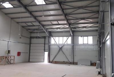 Spațiu comercial, de 550 mp, în Chitila - 9