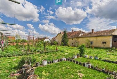 Teren 1300 mp, Beregsău Mare - 4