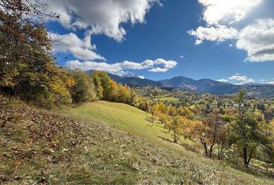 Spațiu comercial, în Bran - 1