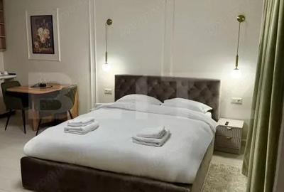 Garsoniera de inchiriat, 30mp, zona Piata de Vechituri - 2