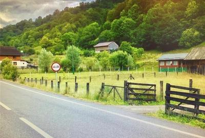 Casă cu 3 camere în Lepșa - 2