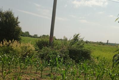 Teren Construcții intravilan de 1700 mp, în Cornești - 2