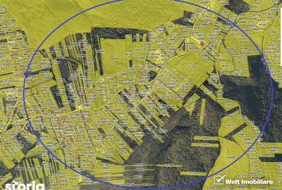 Teren de 700 mp, în Ciurila - 3