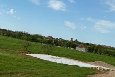 Teren intraan chisirid - 4