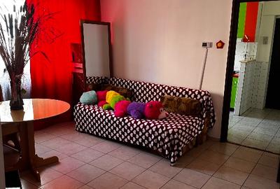 Apartament cu 2 camere semidecomandat în Gojdu - 6