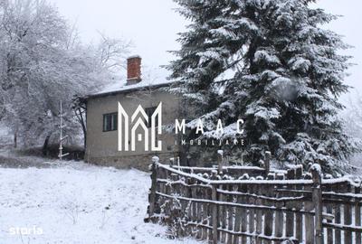 Teren de 20000 mp, în Berislăvești - 10