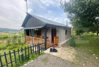 Teren extravilan 10 ari cu Cabana de 45 mp - 2