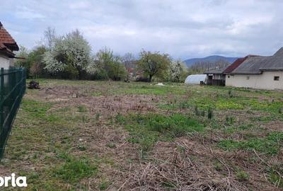 Teren de 4600 mp, în Recea - 2