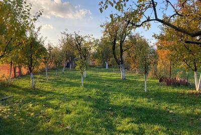 Casa de vanzare - Ghimbav - 10