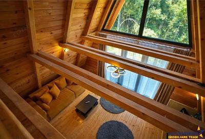 Casă cu Teren 5700 Mp în Moieciu - 3