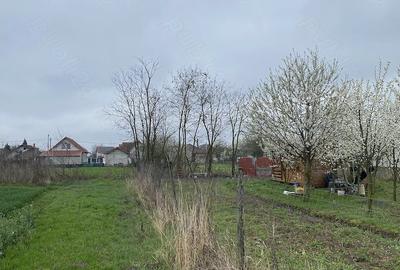 Teren de 5000 mp, în Lazuri - 4