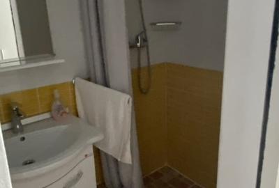 Apartament cu 2 camere, mobilat în Central - 11