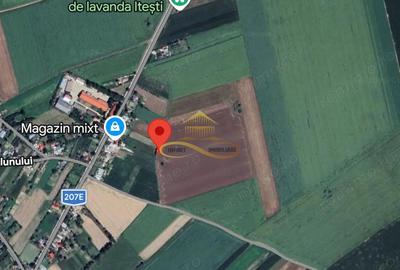 Teren de 13841 mp, în Itești - 8