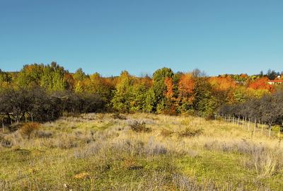 Teren 500 mp intravilan Campina – premium, pozitie panoramica, deschidere 19m - 5