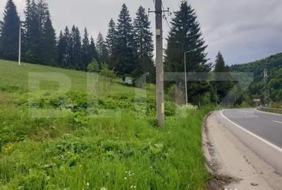 Teren de 9975 mp, în Predeal - 5