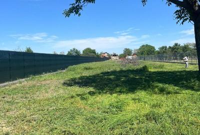 Spațiu comercial, în Biharia - 3